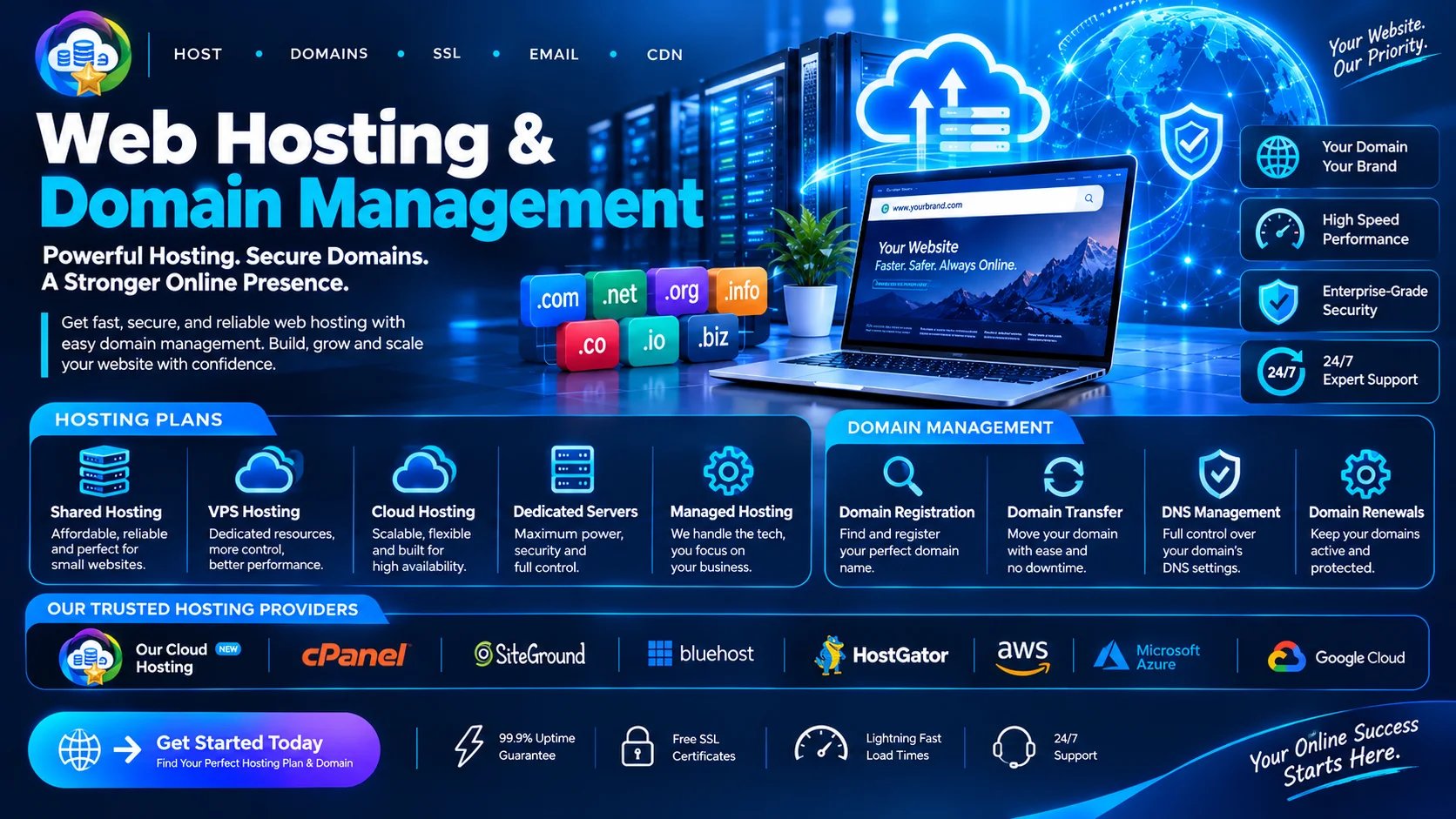 Web Hosting and Domain Management